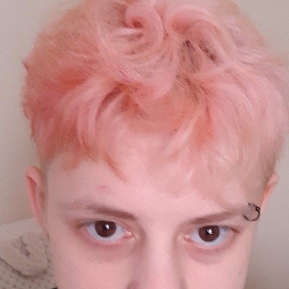 Meet your Posher, Lio - Picture 1 of 1